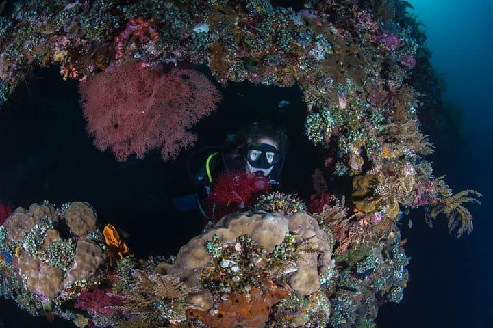 PADI Advanced Open Water Course in Tulamben: Deep Dives & Underwater Navigation photo 6