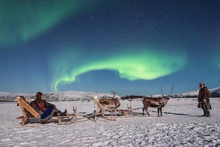 Night Reindeer Sledding & Sami Camp Dinner near Tromsø — Chance to See the Northern Lights