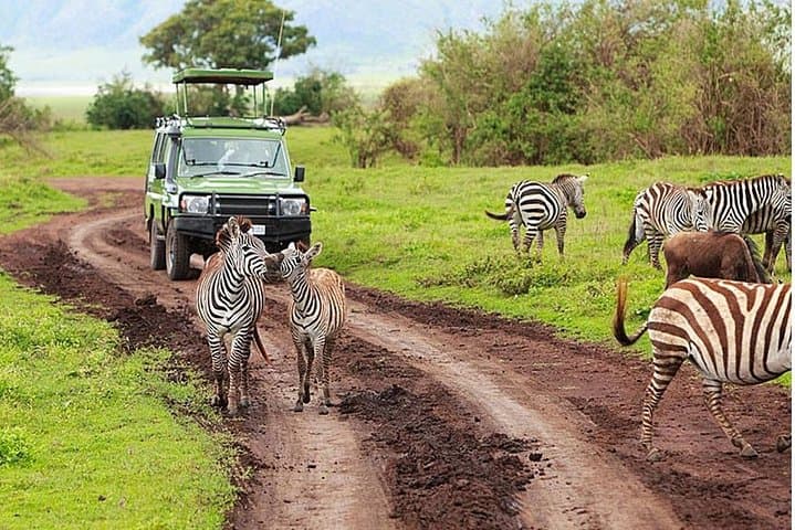 5-Day Maasai Mara & Lake Nakuru Safari: Big Five Game Drives and Rift Valley Views photo 3