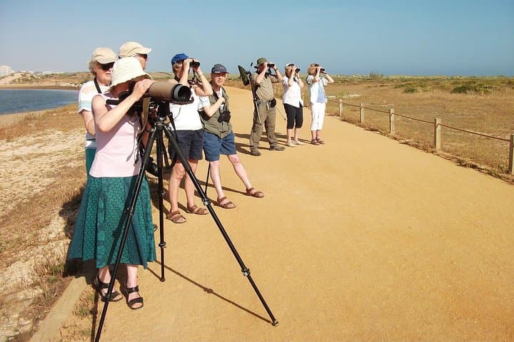 Alvor Dunes Half-Day Birdwatching — Boardwalk Birding in the Algarve