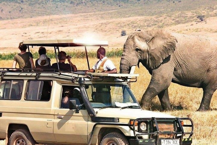 3-Day Camping Safari: Serengeti & Ngorongoro Crater photo 4