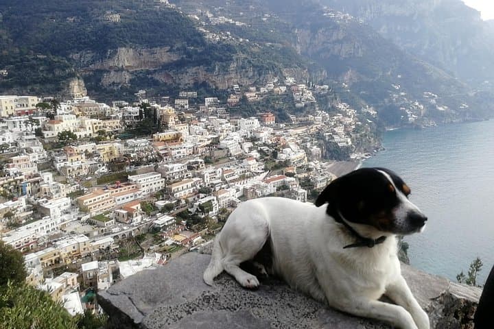 Pompeii, Positano & Sorrento: Full-Day Amalfi Coast Drive with Pompeii Guide photo 1