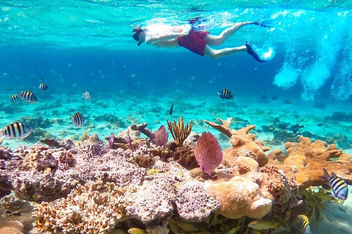 Pearl Island Snorkeling and Beach Day from Nassau — Lunch Included