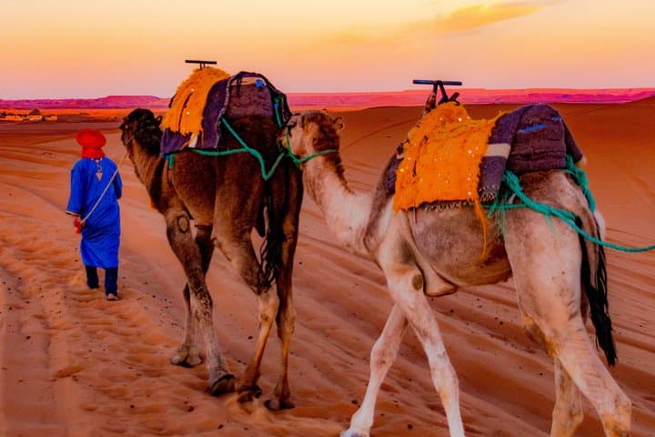 8-Day Private Morocco Grand Tour: Imperial Cities to Sahara Desert photo 2