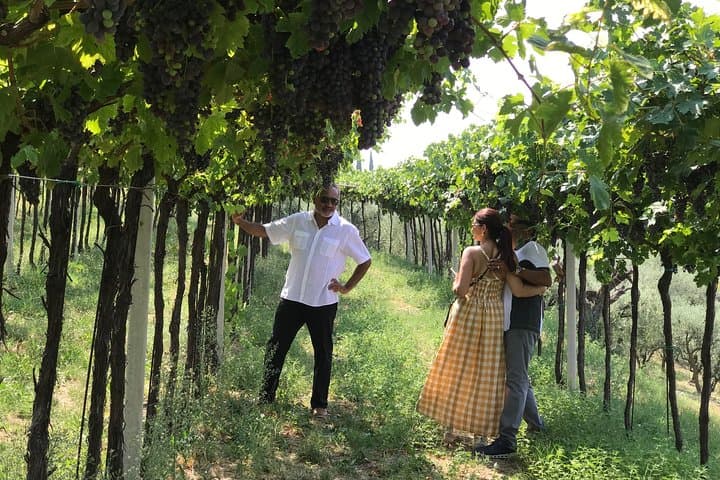 Prosecco & Classic-Method Sparkling Wine Tour from Verona — Colli Berici Tastings photo 3