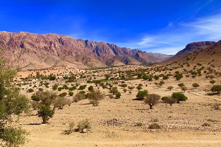 Day Trip to Telouet and Ait Benhaddou Kasbahs from Marrakech: UNESCO Ksars and Atlas Views photo 6