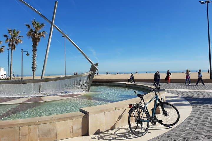 Explore Valencia by Trekking Bike: 24-Hour Rental & Albufera Routes