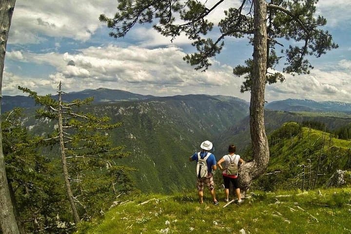 Hiking Sokolina Peak, Montenegro: Half-Day Trek from Grab Ethno Village photo 1