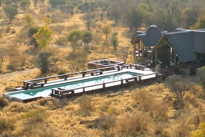 Day Safari to Lake Manyara National Park: Tree-Climbing Lions & Rift Valley Views