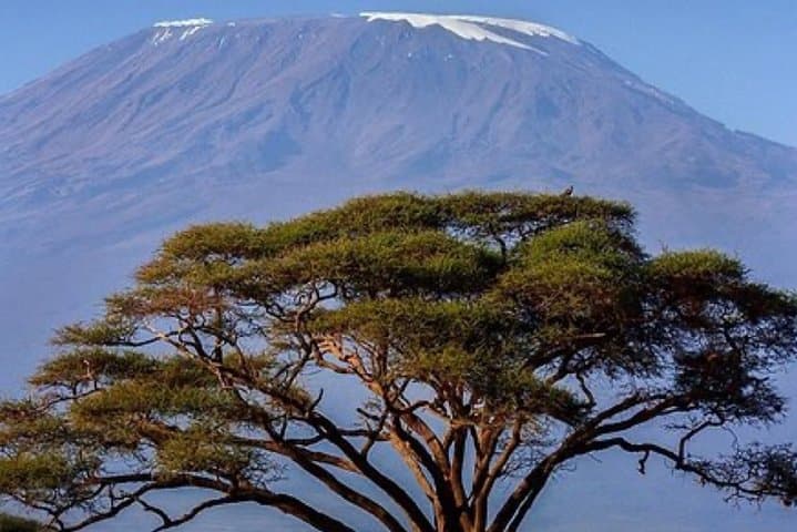 Kilimanjaro Machame Route: 6-Day Summit Trek from Moshi photo 2