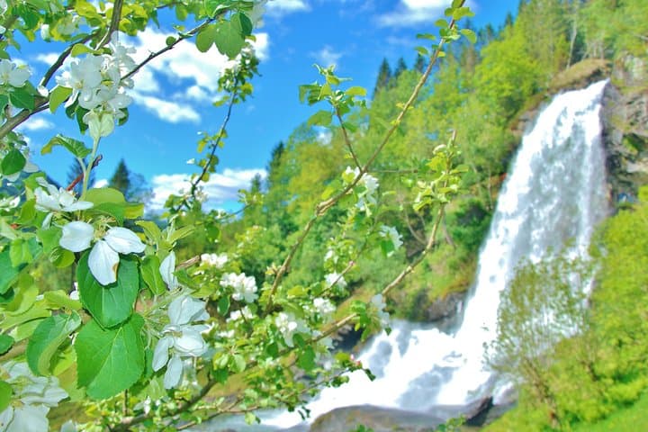 Hardangerfjord & Voss Day Trip from Bergen — Waterfalls, Fjords & Voss Gondol photo 1