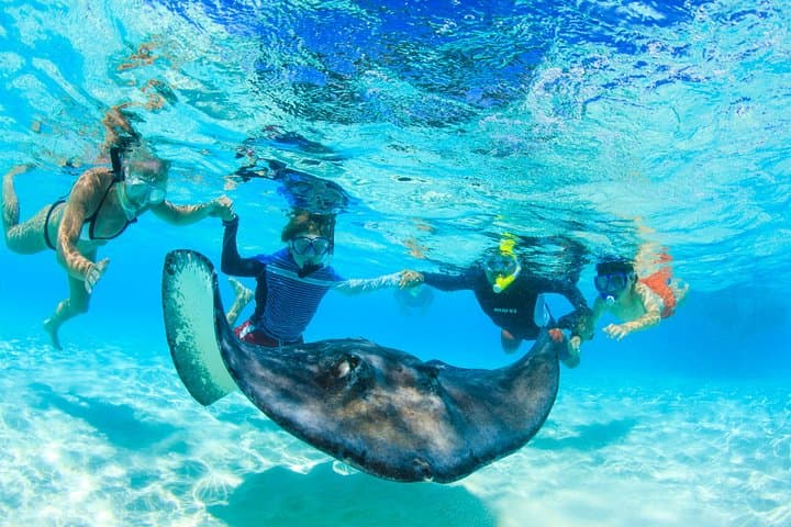 Private Stingray City & BioBay Charter — Grand Cayman Evening Snorkel photo 2