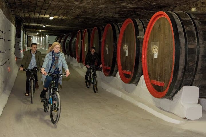 Bike the Guinness-Listed Mileștii Mici Cellars: Underground Winery Cycling Tour