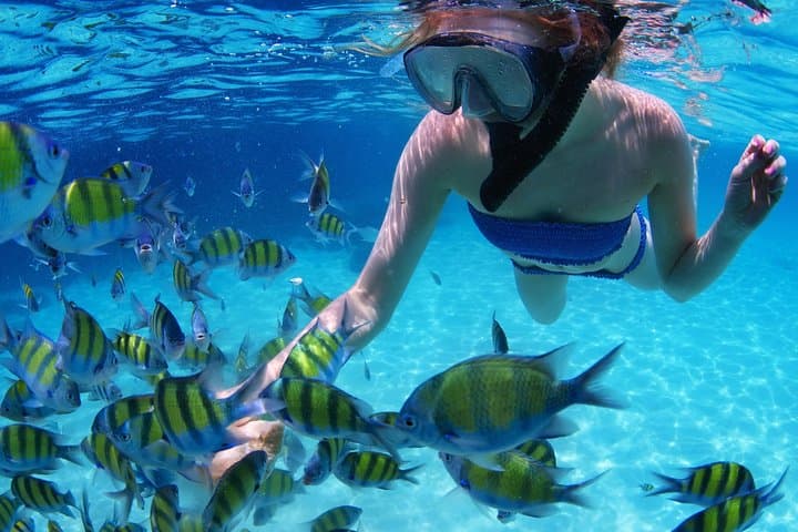 Snorkel Puerto Morelos: Explore Mexico's Second-Largest Barrier Reef photo 4