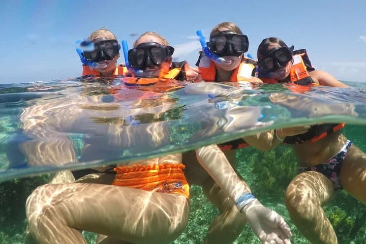 Half-Day Snorkel at Puerto Morelos Reef — Mesoamerican Reef Snorkeling Tour photo 2