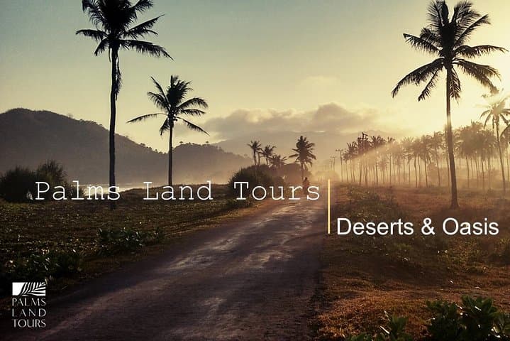 Riyadh City Tour: Four-Hour Urban Exploration of History, Architecture & Desert Edges photo 1