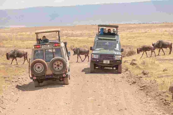 4-Day Camping Safari — Serengeti, Ngorongoro & Tarangire Wildlife Adventure photo 2