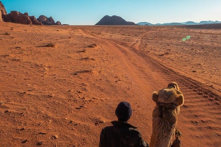 3-Day Private Wadi Rum and Petra Adventure from Eilat photo 4