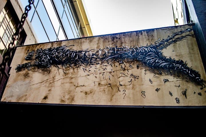 Cape Town Woodstock Street Art Walking Tour: Murals, Community & Local Guides photo 4