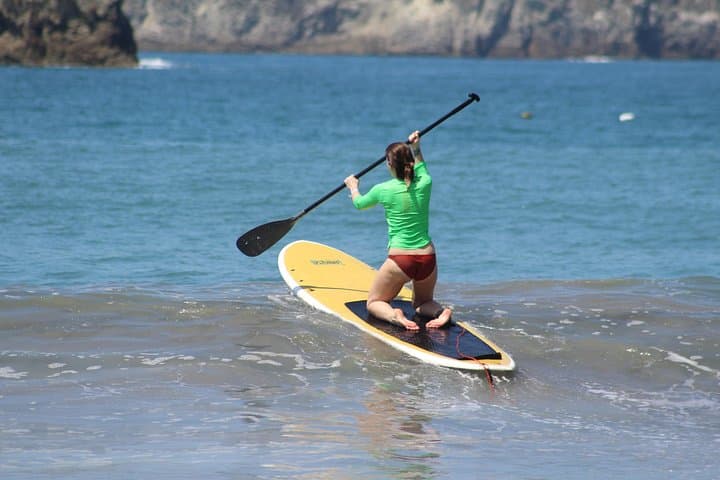 SUP Paddleboarding & Snorkel Near Manuel Antonio — Coastal Wildlife Tour photo 4