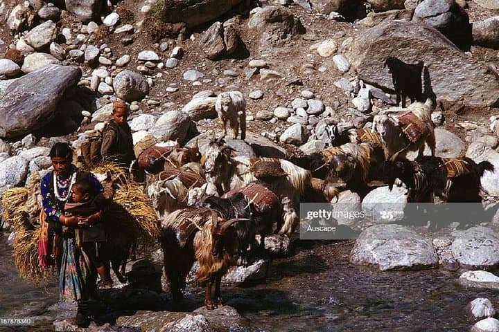 Limi Valley Trek: 20-Day Humla Expedition to Remote Himalayan Passes photo 2