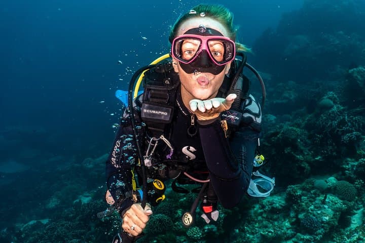 Tulamben 3-Dive Day Trip: Liberty Wreck, Coral Gardens & Drop-Off from South Bali photo 2