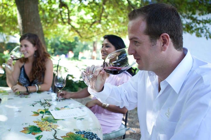 Private Full-Day Stellenbosch Wine Tour: Tastings, Cheese & Chocolate with Pickup photo 1