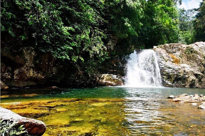 Sinharaja Rainforest Birding Day Trip from Colombo — Endemic Birds & Forest Walk photo 5