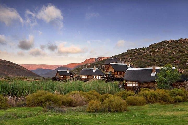 Aquila Wildlife Safari Tour from Cape Town — Big Five Day Trip photo 1