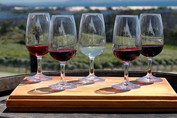 Cape Town Food & Wine Pairing Tour: Stellenbosch & Franschhoek in a Day photo 3