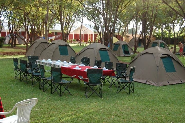 6-Day Tanzania Camping Safari from Arusha: Serengeti, Ngorongoro & Tarangire photo 4
