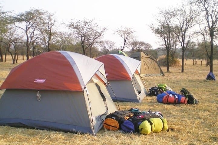 4-Day Camping Safari in Tanzania: Lake Manyara, Serengeti & Ngorongoro Crater photo 3