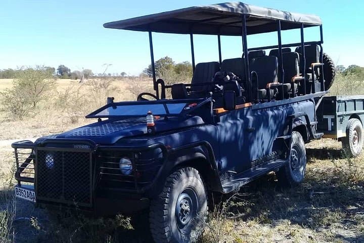 Full-Day Moremi Game Drive Safari from Maun — Xinii Lagoon & Okavango Wildlife photo 2