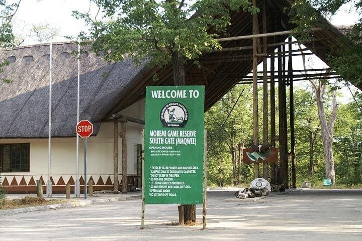 Full-Day Moremi Game Drive Safari from Maun — Xinii Lagoon & Okavango Wildlife photo 4