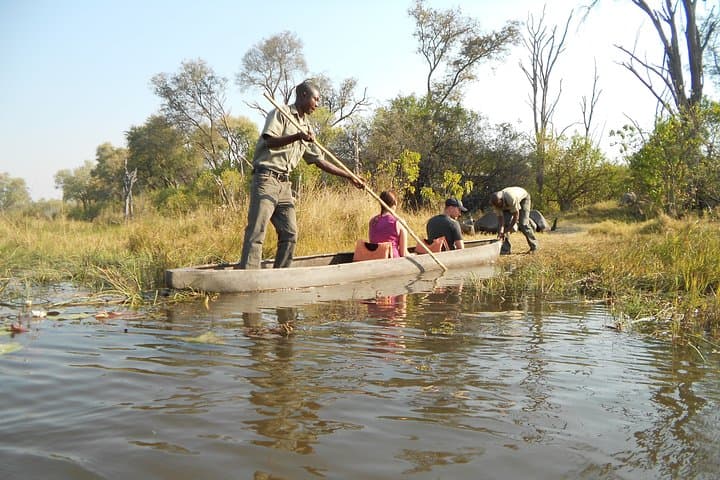 Okavango Delta & Moremi 2-Day Wild Camping Safari — Mokoro, Night Drives and Waterhole Wildlife photo 6