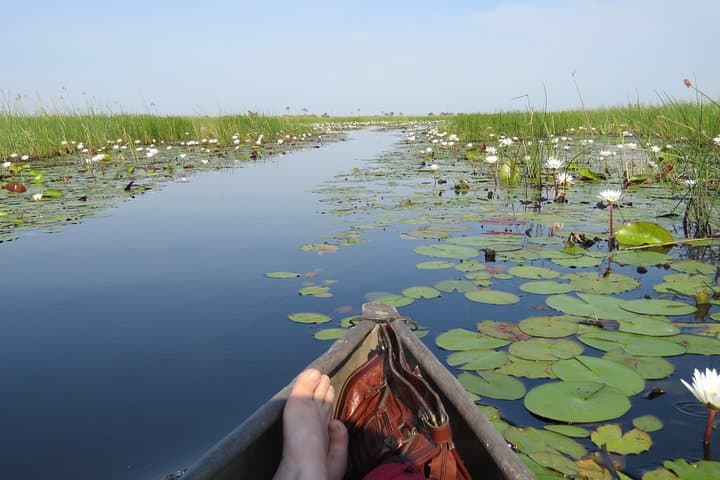 Okavango Delta Mokoro Wildcamping: 2-Night All-Inclusive Delta Experience