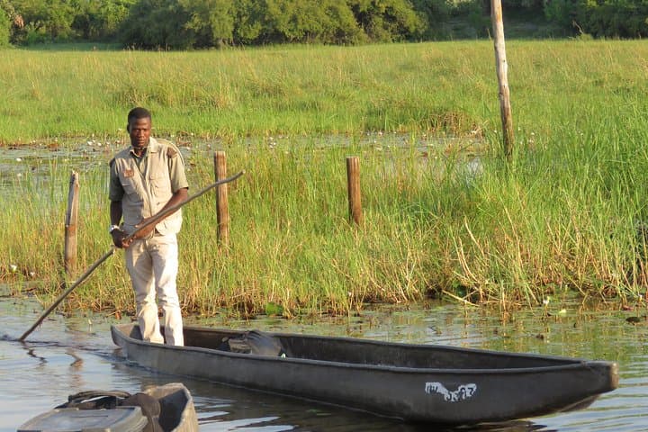 Okavango Delta Mokoro Wildcamping: 2-Night All-Inclusive Delta Experience photo 2