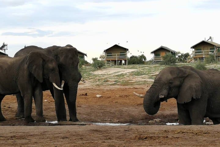 10-Day Across Botswana: Gaborone to Victoria Falls Overland Camping Safari photo 1