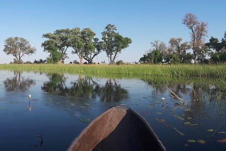 12-Day Wilderness Trail: Okavango, Moremi, Chobe & Victoria Falls Wild-Camping Safari photo 6