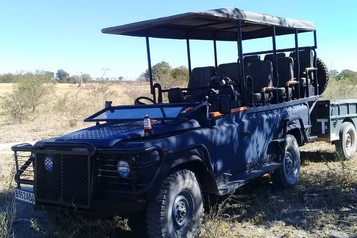 Okavango Delta & Moremi 2-Day Wild Camping Safari — Mokoro, Night Drives and Waterhole Wildlife photo 4