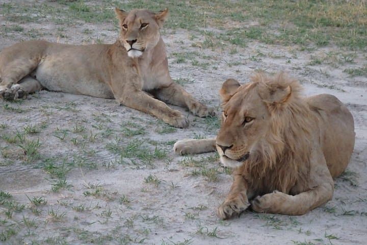 Wild Camping Deception Valley: 4-Day Bushmen Trail in Central Kalahari photo 2