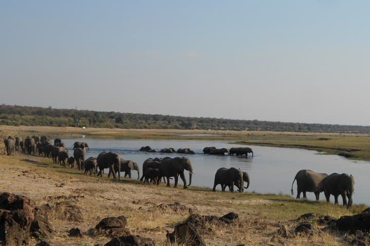 12-Day Wilderness Trail: Okavango, Moremi, Chobe & Victoria Falls Wild-Camping Safari photo 4