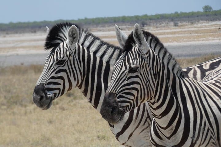 Wild Camping Deception Valley: 4-Day Bushmen Trail in Central Kalahari photo 4