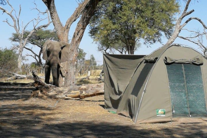 Wild Camping Deception Valley: 4-Day Bushmen Trail in Central Kalahari photo 6