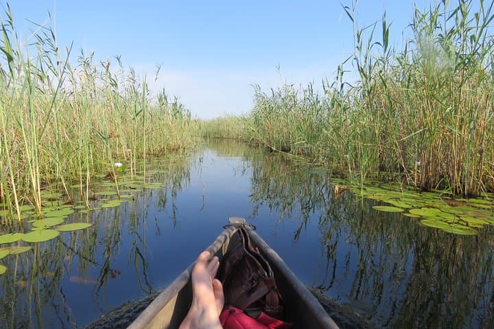 Okavango Delta Mokoro Wildcamping: 2-Night All-Inclusive Delta Experience photo 3