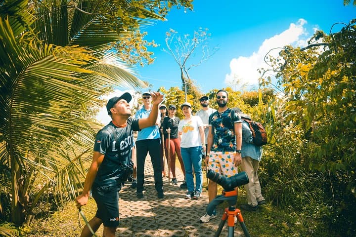 Arenal Hanging Bridges, Volcano Base Hike & La Fortuna Waterfall: Full-Day Adventure photo 6