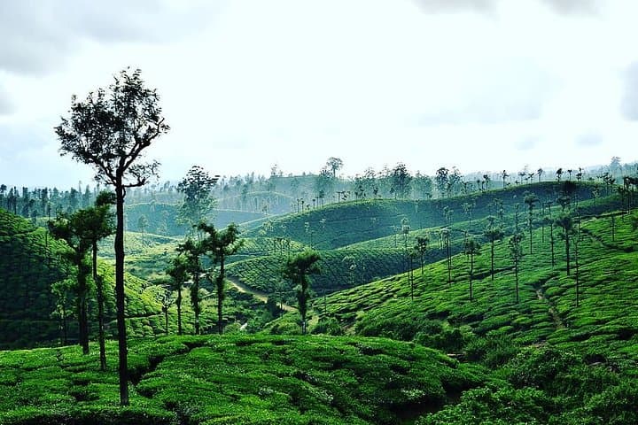 Coimbatore to Valparai Hill Station: 2-Day Drive to the Western Ghats