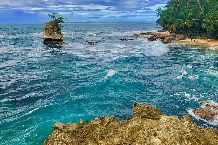 Gandoca-Manzanillo Trail and Great Green Macaw Tour — Hike, Beach & Macaw Conservation