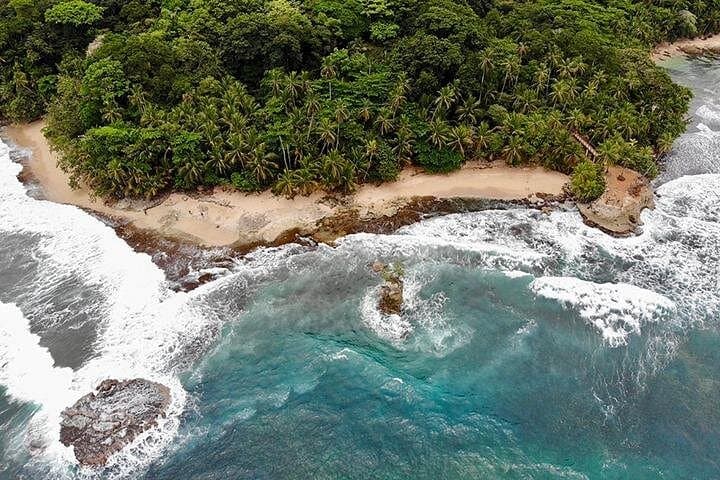 Gandoca-Manzanillo Trail and Great Green Macaw Tour — Hike, Beach & Macaw Conservation photo 3