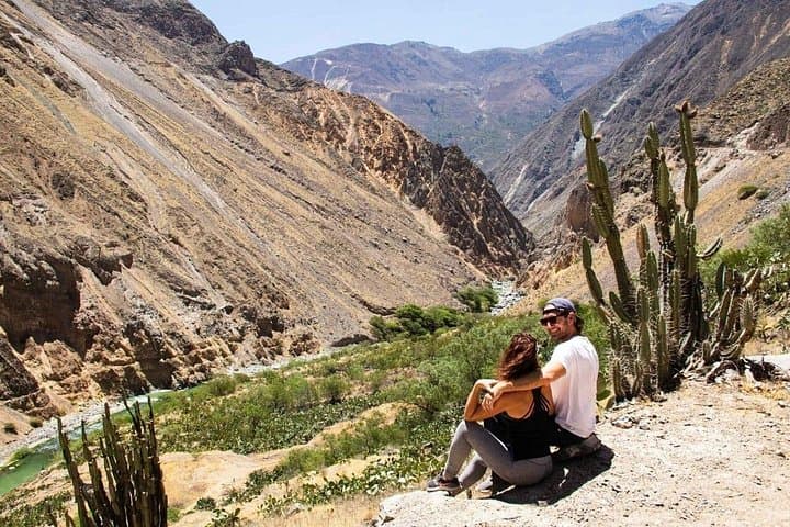 3-Day Colca Canyon Trek from Arequipa — Condors, Oasis Pools & Andean Trails photo 2